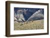 Cowboys and Cowgirls Riding along the Hills of the Big Horn Mountains-Terry Eggers-Framed Photographic Print