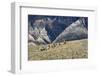 Cowboys and Cowgirls Riding along the Hills of the Big Horn Mountains-Terry Eggers-Framed Photographic Print