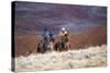 Cowboys at Full Gallop-Terry Eggers-Stretched Canvas