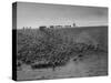 Cowboys at Gerard Ranch, During Round Up and Trail Drive Into Virginia City-Ralph Crane-Stretched Canvas