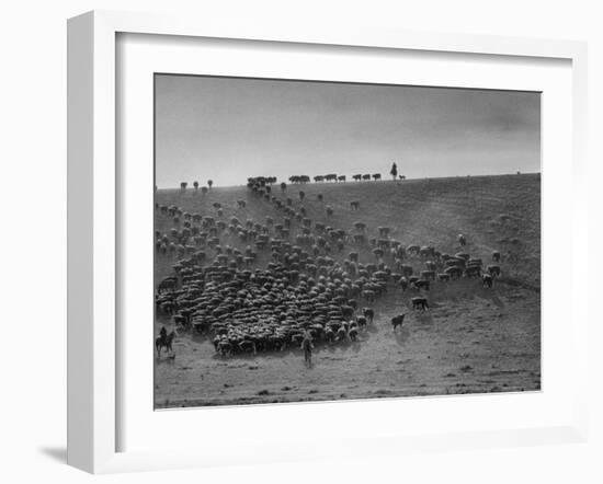 Cowboys at Gerard Ranch, During Round Up and Trail Drive Into Virginia City-Ralph Crane-Framed Photographic Print