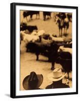 Cowboys at Indoor Rodeo, Fort Worth, Texas, USA-Walter Bibikow-Framed Premium Photographic Print