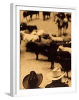 Cowboys at Indoor Rodeo, Fort Worth, Texas, USA-Walter Bibikow-Framed Premium Photographic Print