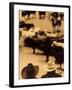 Cowboys at Indoor Rodeo, Fort Worth, Texas, USA-Walter Bibikow-Framed Premium Photographic Print