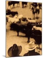 Cowboys at Indoor Rodeo, Fort Worth, Texas, USA-Walter Bibikow-Mounted Premium Photographic Print