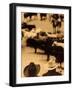 Cowboys at Indoor Rodeo, Fort Worth, Texas, USA-Walter Bibikow-Framed Photographic Print