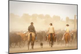 Cowboys Best Friend-Dan Ballard-Mounted Photographic Print