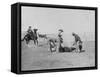 Cowboys Branding a Calf Photograph - South Dakota-Lantern Press-Framed Stretched Canvas