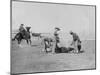 Cowboys Branding a Calf Photograph - South Dakota-Lantern Press-Mounted Art Print