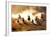 Cowboys Chasing Wilding Horses. Roping and Riding, with Dust Flying Everywhere-Jeanne Provost-Framed Photographic Print