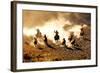 Cowboys Chasing Wilding Horses. Roping and Riding, with Dust Flying Everywhere-Jeanne Provost-Framed Photographic Print