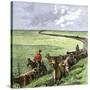 Cowboys Driving a Cattle Herd from Texas to Kansas on the Chilsholm Trail 1870-null-Stretched Canvas