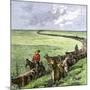 Cowboys Driving a Cattle Herd from Texas to Kansas on the Chilsholm Trail 1870-null-Mounted Giclee Print