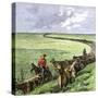 Cowboys Driving a Cattle Herd from Texas to Kansas on the Chilsholm Trail 1870-null-Stretched Canvas