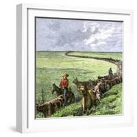 Cowboys Driving a Cattle Herd from Texas to Kansas on the Chilsholm Trail 1870-null-Framed Giclee Print