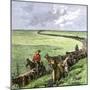 Cowboys Driving a Cattle Herd from Texas to Kansas on the Chilsholm Trail 1870-null-Mounted Giclee Print