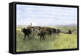 Cowboys Driving a Longhorn Herd on the Great Cattle Trail 1800-null-Framed Stretched Canvas