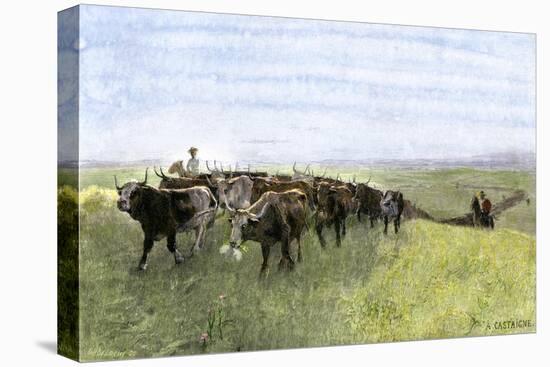 Cowboys Driving a Longhorn Herd on the Great Cattle Trail 1800-null-Stretched Canvas