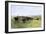 Cowboys Driving a Longhorn Herd on the Great Cattle Trail 1800-null-Framed Giclee Print