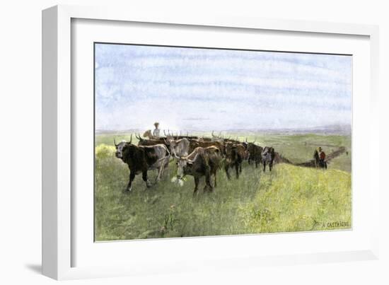 Cowboys Driving a Longhorn Herd on the Great Cattle Trail 1800-null-Framed Giclee Print