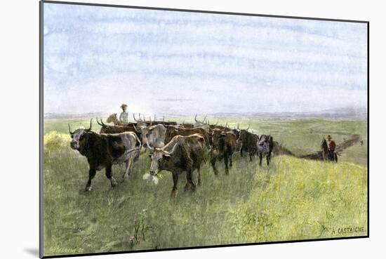 Cowboys Driving a Longhorn Herd on the Great Cattle Trail 1800-null-Mounted Giclee Print