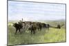 Cowboys Driving a Longhorn Herd on the Great Cattle Trail 1800-null-Mounted Giclee Print