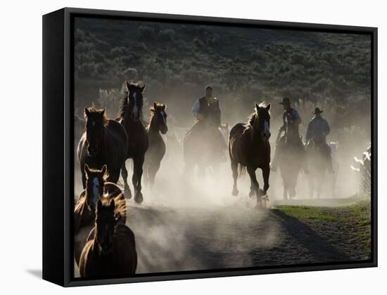 Cowboys Driving Horses at Sombrero Ranch, Craig, Colorado, USA-Carol Walker-Framed Stretched Canvas