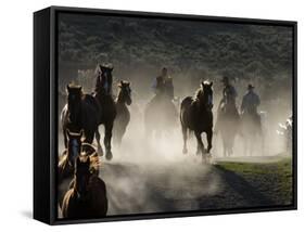 Cowboys Driving Horses at Sombrero Ranch, Craig, Colorado, USA-Carol Walker-Framed Stretched Canvas