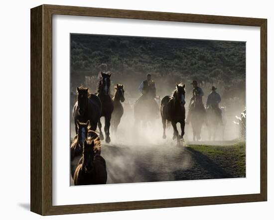 Cowboys Driving Horses at Sombrero Ranch, Craig, Colorado, USA-Carol Walker-Framed Photographic Print