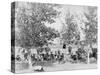 Cowboys Eating Dinner on Ground Under Trees Photograph - South Dakota-Lantern Press-Stretched Canvas