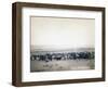 Cowboys herding cattle, c.1890-John C. H. Grabill-Framed Photographic Print