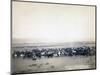 Cowboys herding cattle, c.1890-John C. H. Grabill-Mounted Photographic Print