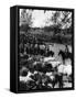 Cowboys Herding Cattle in Chili Photograph - Chile-Lantern Press-Framed Stretched Canvas