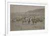 Cowboys Herding Cattle-R.M. Davis-Framed Art Print