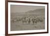 Cowboys Herding Cattle-R.M. Davis-Framed Art Print