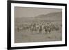 Cowboys Herding Cattle-R.M. Davis-Framed Art Print