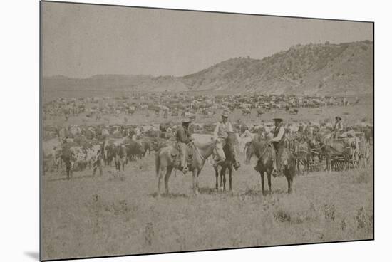 Cowboys Herding Cattle-R.M. Davis-Mounted Art Print