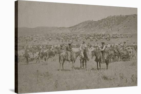 Cowboys Herding Cattle-R.M. Davis-Stretched Canvas