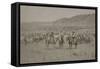 Cowboys Herding Cattle-R.M. Davis-Framed Stretched Canvas
