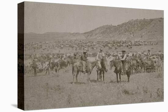 Cowboys Herding Cattle-R.M. Davis-Stretched Canvas