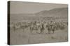 Cowboys Herding Cattle-R.M. Davis-Stretched Canvas