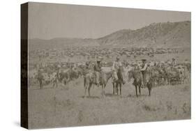 Cowboys Herding Cattle-R.M. Davis-Stretched Canvas