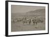 Cowboys Herding Cattle-R.M. Davis-Framed Art Print