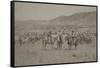 Cowboys Herding Cattle-R.M. Davis-Framed Stretched Canvas