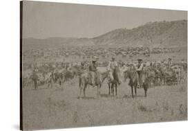 Cowboys Herding Cattle-R.M. Davis-Stretched Canvas