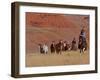 Cowboys Herding Horses in the Big Horn Mountains, Shell, Wyoming, USA-Joe Restuccia III-Framed Photographic Print