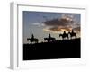 Cowboys in Silhouette with Sunset-Terry Eggers-Framed Photographic Print