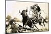 Cowboys in the Australian Outback Try to Rope a Bull-null-Mounted Giclee Print