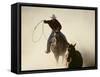 Cowboys Lassoing on the Range-DLILLC-Framed Stretched Canvas