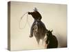 Cowboys Lassoing on the Range-DLILLC-Stretched Canvas